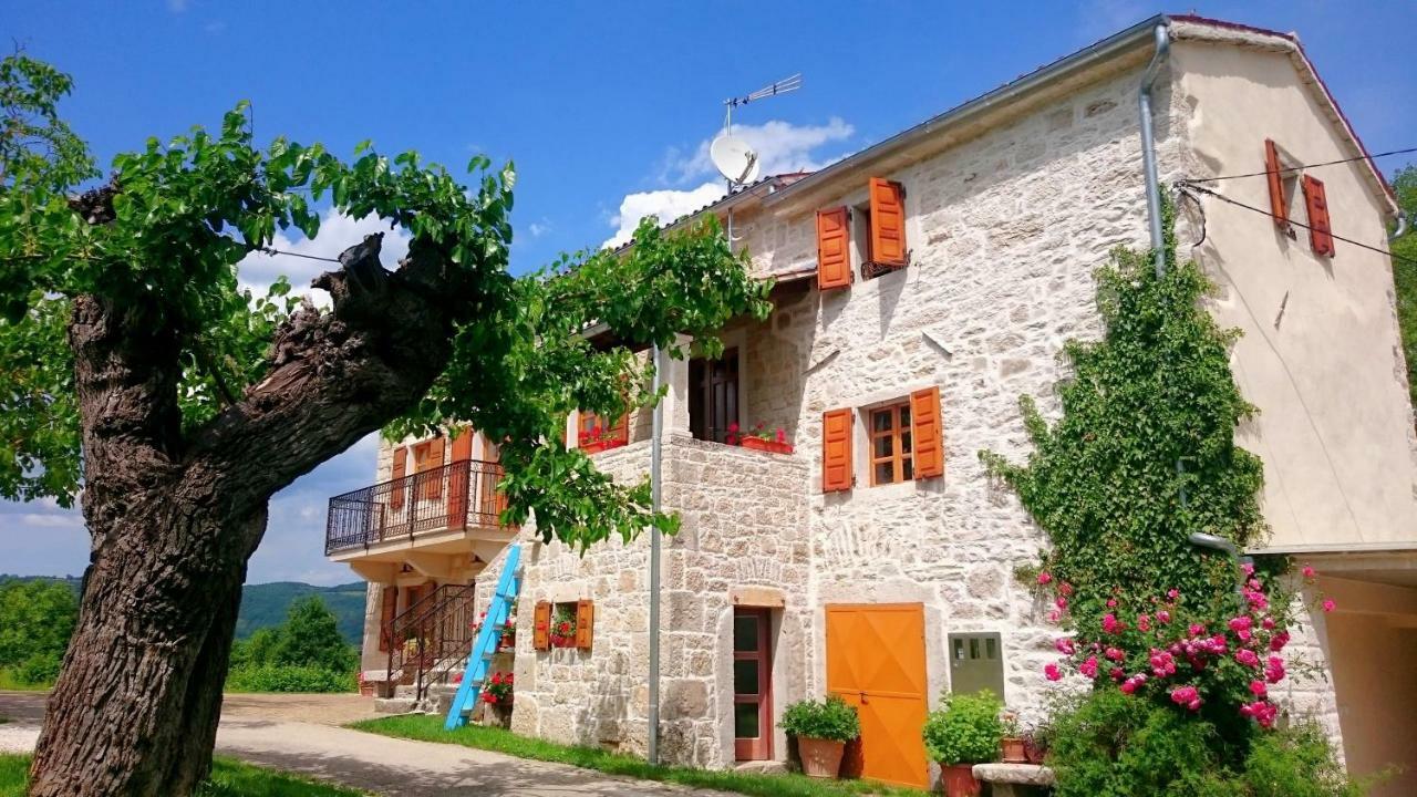 Villa Angela E Giovanni Vižinada Zewnętrze zdjęcie